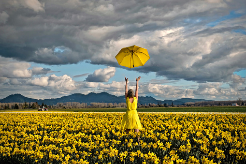 Happy woman in daffodil field with yellow umbrella