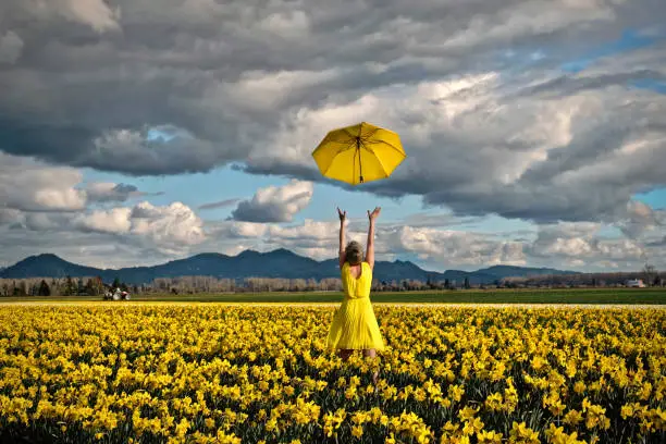 Photo of Happy woman in daffodil field with yellow umbrella