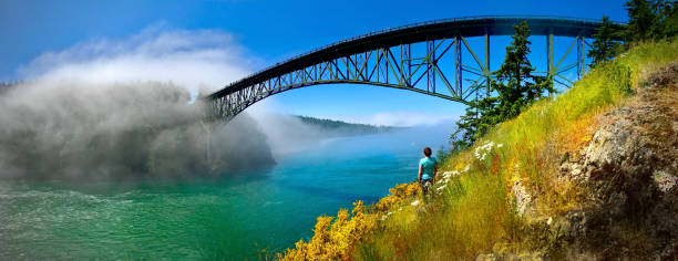 deception pass bridge im sommer mit nebel und wildblumen. - puget sund stock-fotos und bilder