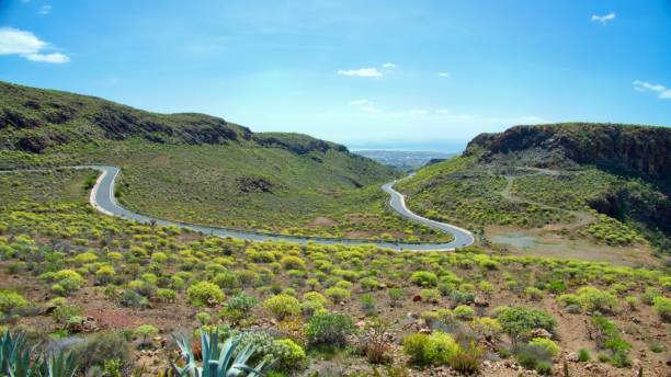 istock Gran Canaria - view of the valley 946434354