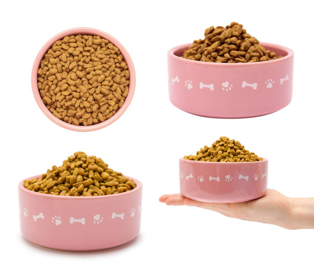 set of different dry pet food in bowl isolated on white background. woman hand stock photo