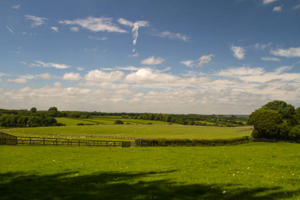 View of fields and woods in Maidenhead and Cookham on a sunny day