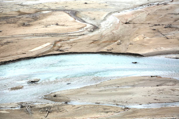 istock wildness panorama swamp with few water and many quicksand 946441968