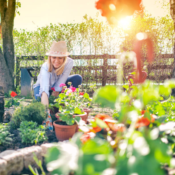 Woman planting flowers
