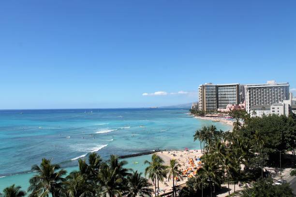 istock Sunny Day Beach With Palm trees and Hotels 946448170