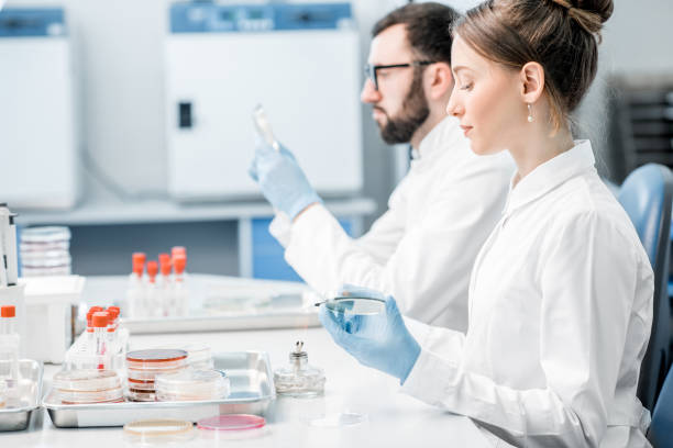 istock Laboratory assistants in the bacteriological department 946450970