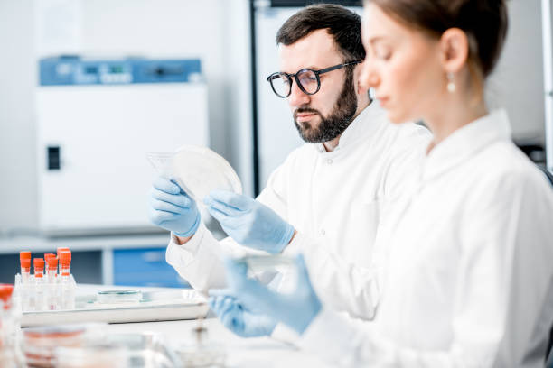 istock Laboratory assistants in the bacteriological department 946451112