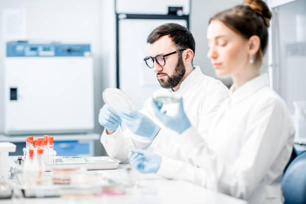 istock Laboratory assistants in the bacteriological department 946451132