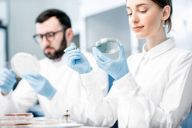 istock Laboratory assistants in the bacteriological department 946451144