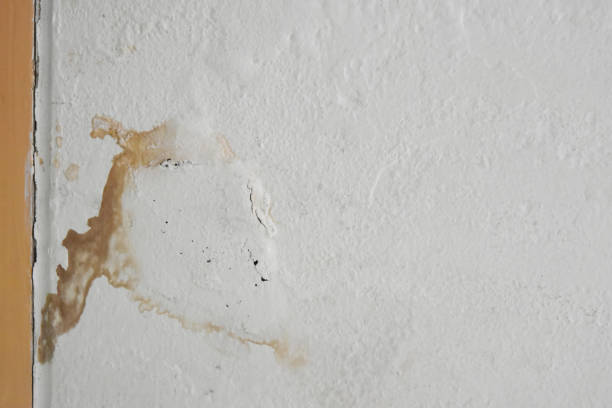 istock Excessive moisture can cause mold and peeling paint wall. 946451264