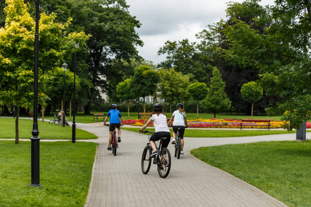 istock Urban biking- three people riding bikes in city 946452116