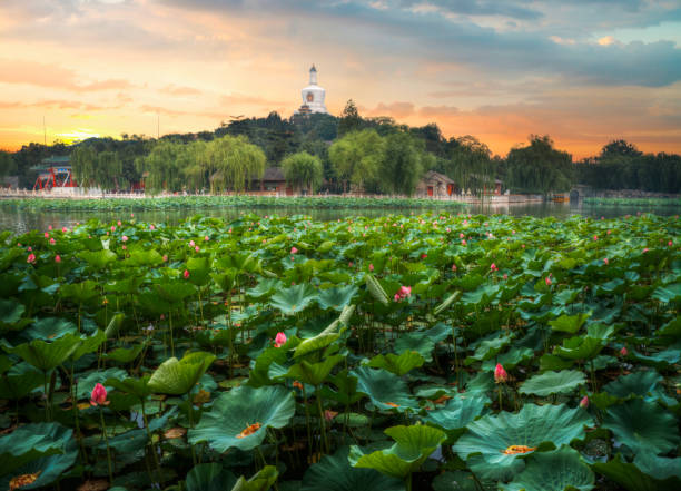 istock Beihai Park is an imperial garden 946455322