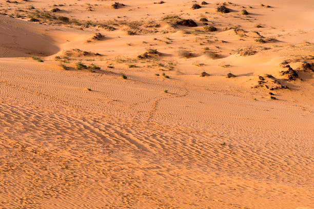 istock Sun setting below horizon in Mu Ne sand dune in Vietnam 946459024