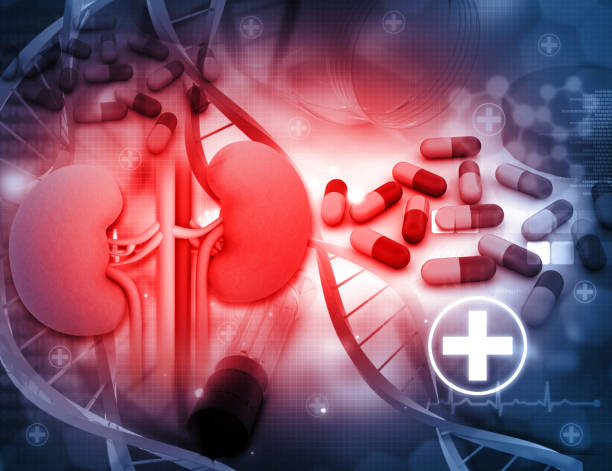 istock 3d render of Human kidney with medicines 946459222