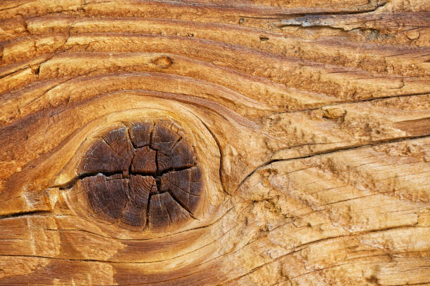 istock Wooden planks background texture 946462792