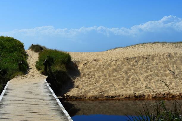 istock Footbridge leading to the beach 946475586