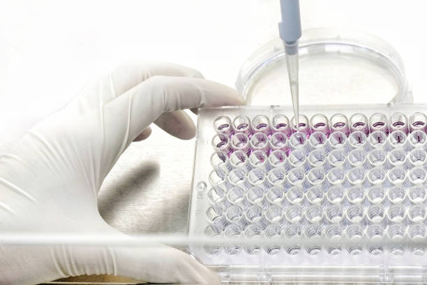 The researcher is using pipette to transfer liquid stock photo