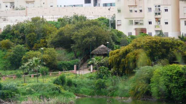 istock Find & Replace GARDEN/LAKE/FIRDAWS/CASABLANCA/MOROCCO 946477282