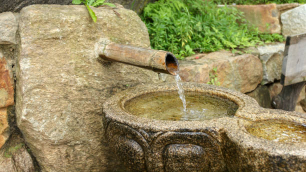 istock Korean traditional garden pond 946477566