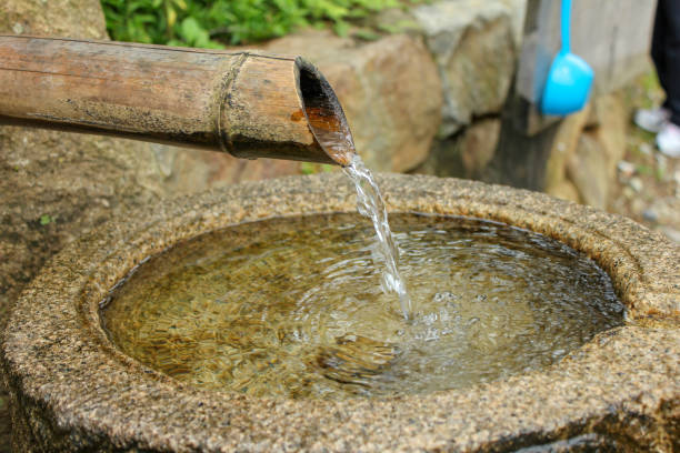 istock Korean traditional garden pond 946477570