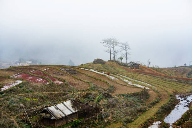 istock Moutain with cloud in Ta Xua Vietnam 946488102