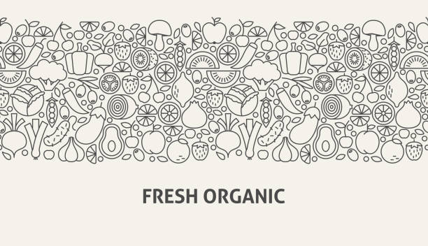 illustrazioni stock, clip art, cartoni animati e icone di tendenza di concetto di banner biologico fresco - plum fruit organic food and drink