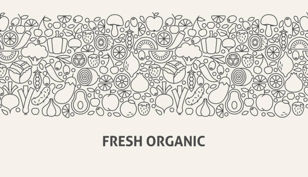 新鮮な有機バナーのコンセプト - plum fruit organic food and drink点のイラスト素材／クリップアート素材／マンガ素材／アイコン素材