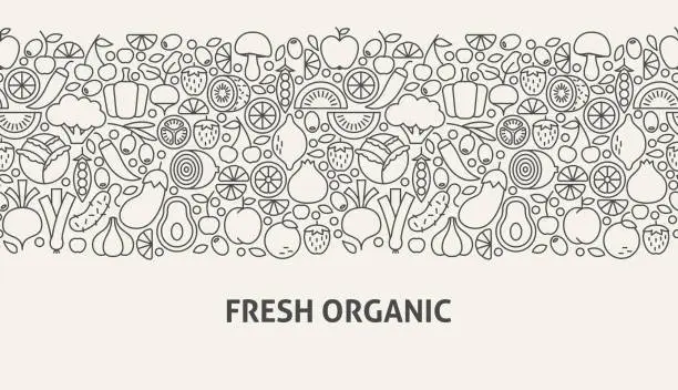 Vector illustration of Fresh Organic Banner Concept