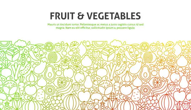 Vector illustration of Fruit and Vegetables Concept