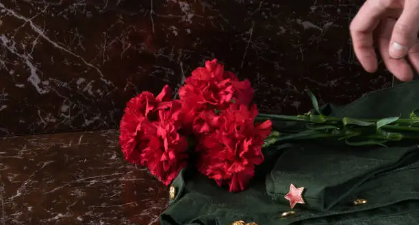 Photo of hand put red flowers on the monument, close-up