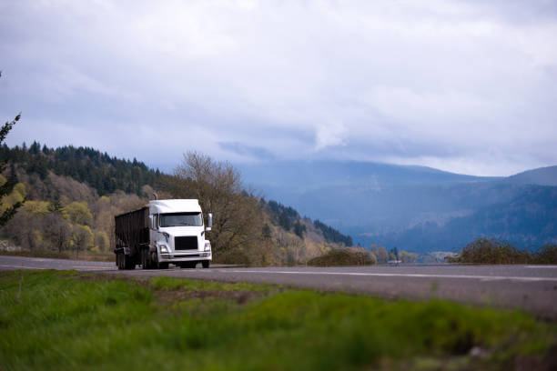 istock White big rig tipper running on gorgeous road with meadows mountain and forest 946505568