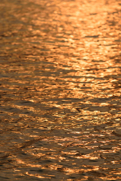 istock Close-up textured effect of sea against sunlight 946506286