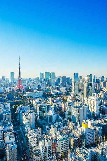 torre de tokio bajo el cielo azul y soleado día de hamamatsucho, japón - hamamatsucho fotografías e imágenes de stock