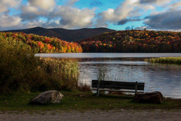 istock Autumn morning near pond 946531874