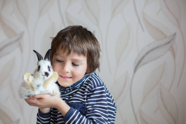 istock Cute little preschool boy, playing with rabbits 946532948