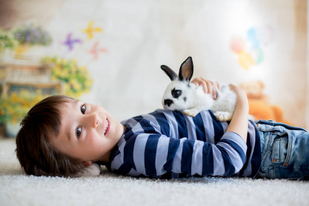 симпатичный маленький мальчик малыш, одетый умный случайный, играя с маленьким черно-белым кроликом - rabbit child pets little boys стоковые фото и изображения