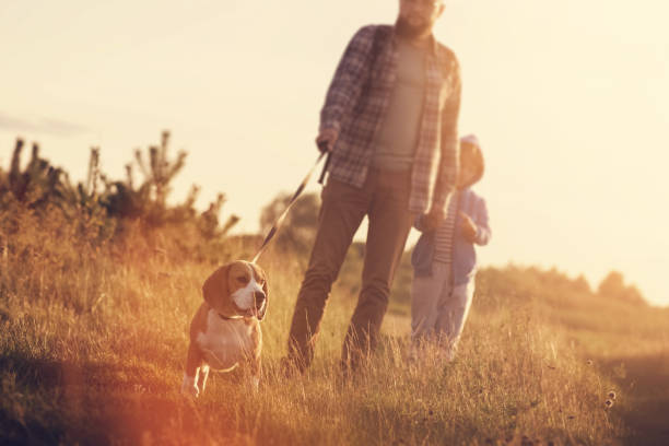 istock Dad and son travel together with a dog 946539664