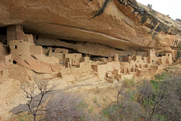 istock Cliff Palace, Mesa Verde National Park, Colorado 946543354