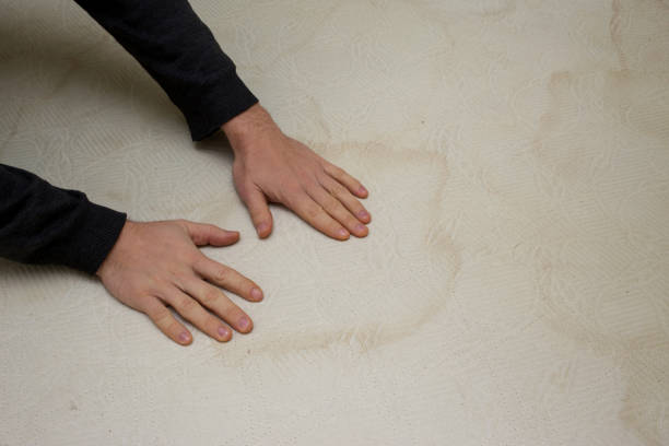 istock dirt on the old mattress 946546128