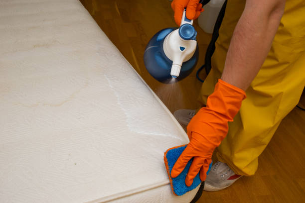 istock dry cleaning of a mattress 946546878