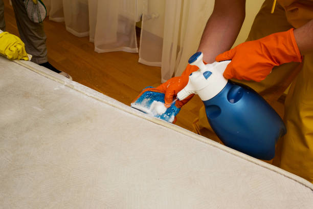 istock dry cleaning of a mattress 946548982
