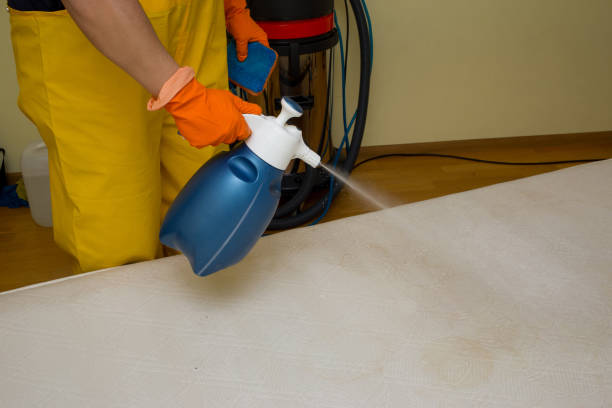 istock dry cleaning of a mattress 946549180