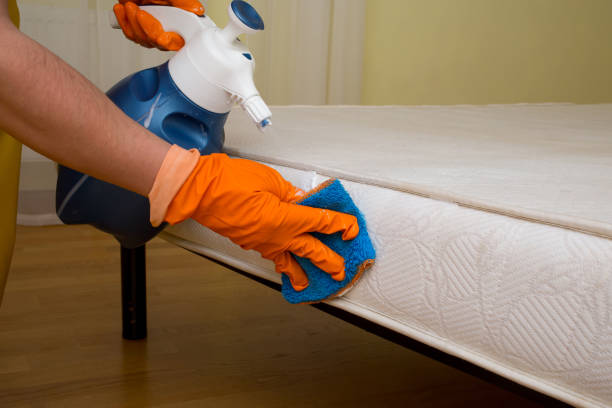 istock dry cleaning of a mattress 946549264