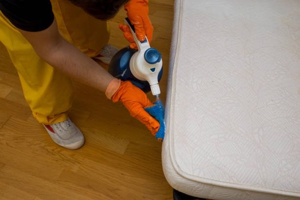 istock dry cleaning of a mattress 946549366
