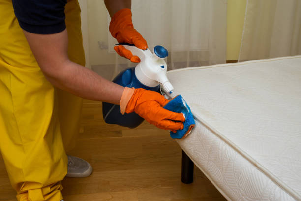 istock dry cleaning of a mattress 946549404
