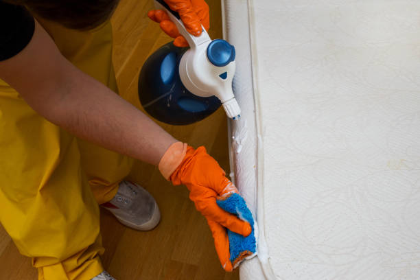 istock dry cleaning of a mattress 946549406