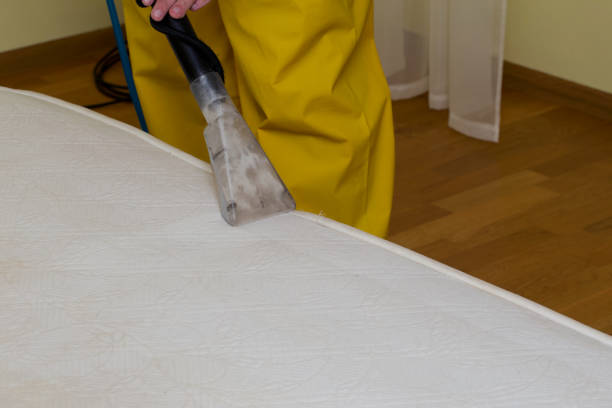 istock dry cleaning of a mattress 946552298