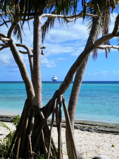istock Mystery Island, Vanuatu 946552400