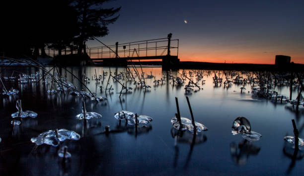 Cut River reed icicle sunset, Higgins Lake Michigan