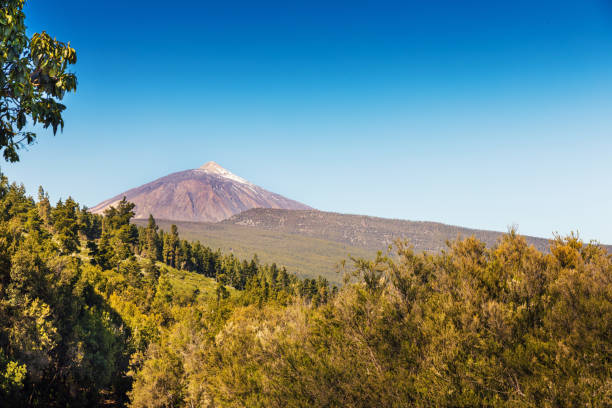 istock sunny landscape with volcano Teide in Tenerife Canary islands 946566200